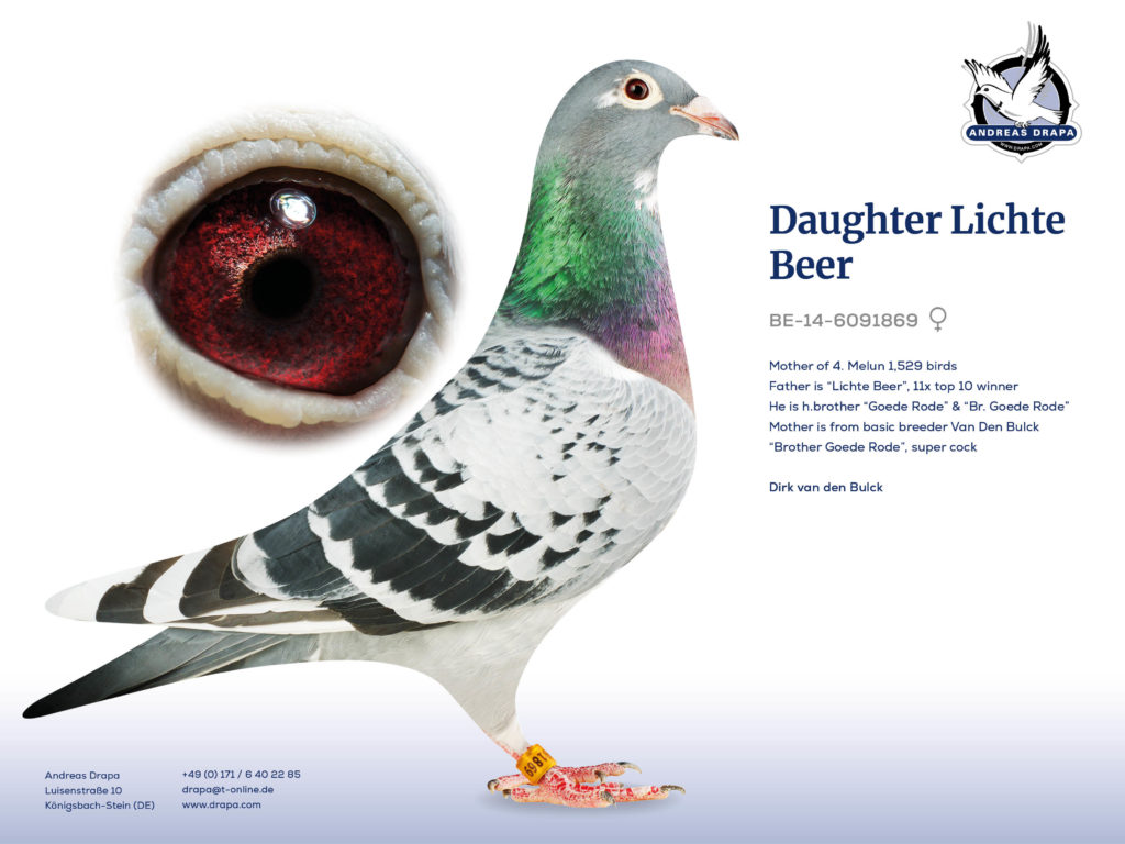Daughter Lichte Beer
