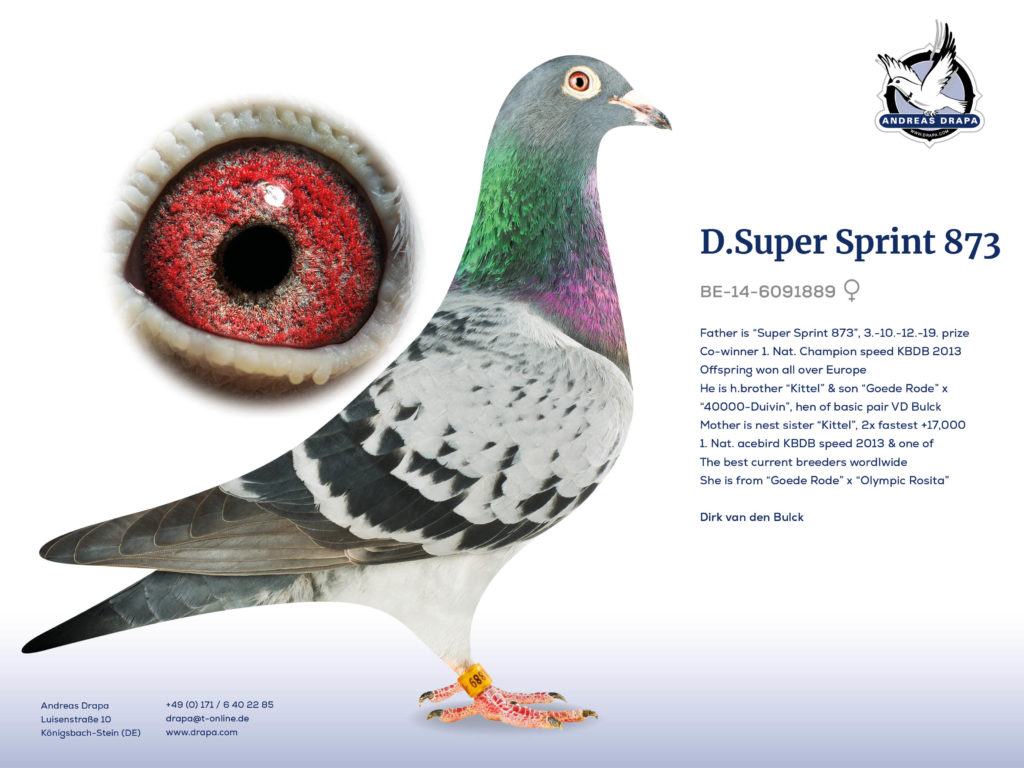 D. Super Sprint 873